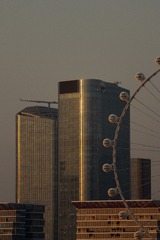 548