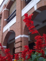 DSCF2204.JPG