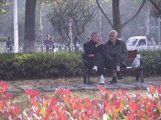 DSCF2221.JPG