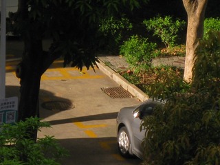 CEAA6897-971E-43A6-8130-E84B0D100254/L0/001
