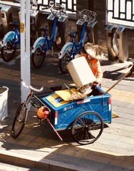 A48F1D91-E0E9-4AB5-A667-6E5C2CA5E659/L0/001