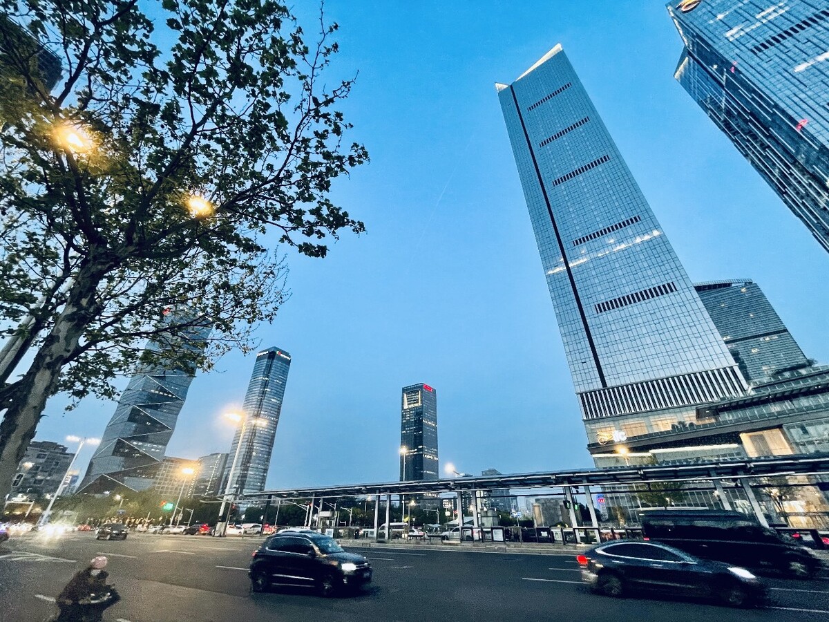 南京河西元通