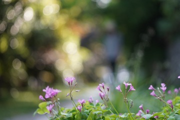 B05EA939-2C0A-4BE5-B6F2-094A9C9516D3/L0/001