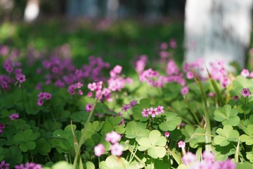4B647987-2EB8-499C-B45E-3DED856A8C05/L0/001