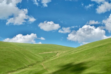 9C306E01-D81F-4BCF-9660-090335A42AE6/L0/001