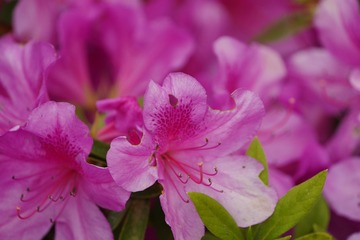 8C69AB56-290B-4304-9440-6A33A6372761/L0/001