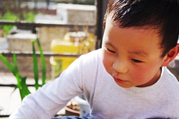 IMGP2239.jpg
