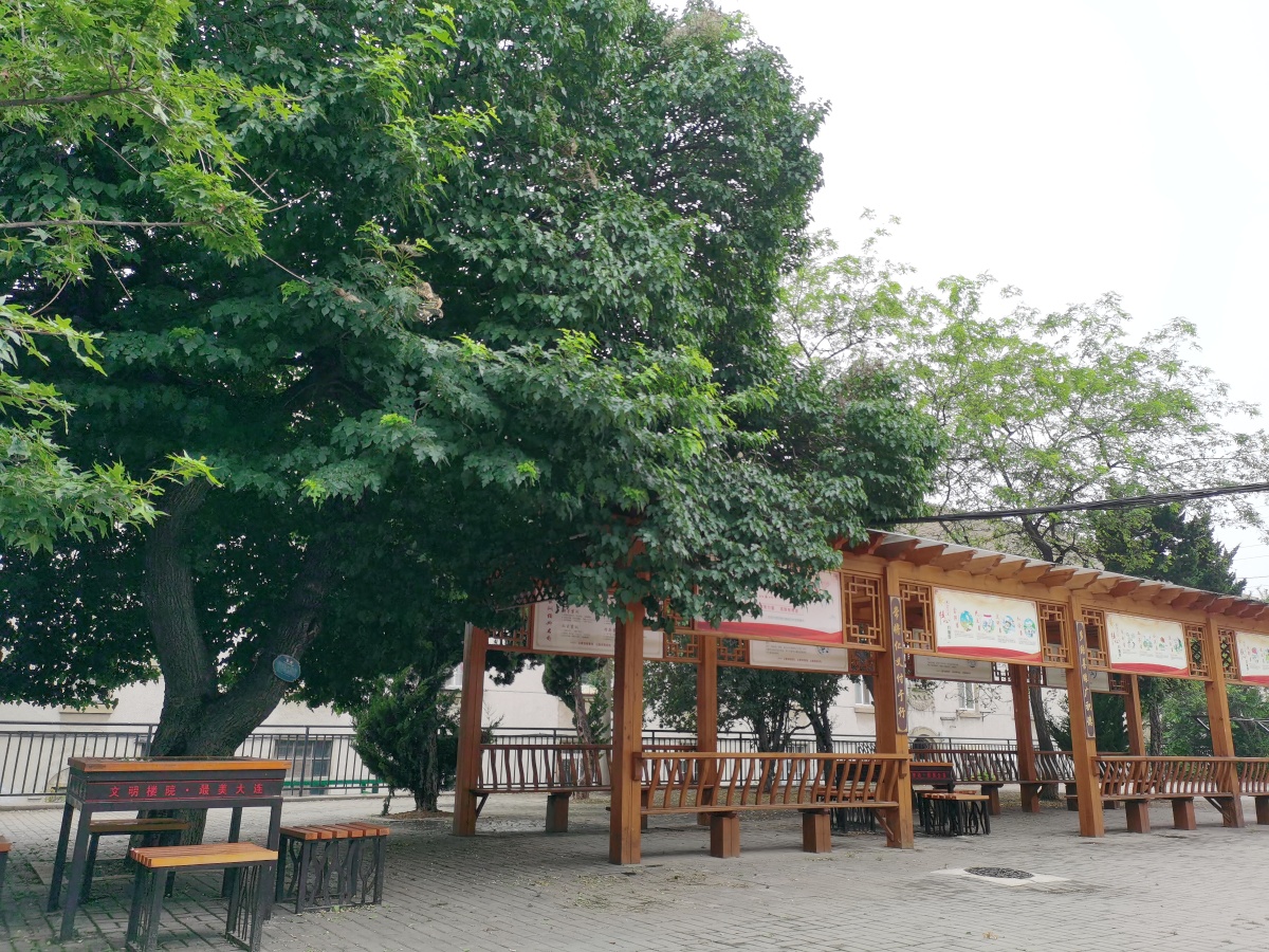 随拍金家街老街