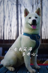 F6C83284-D988-468B-8CCF-FA661014E31E/L0/001