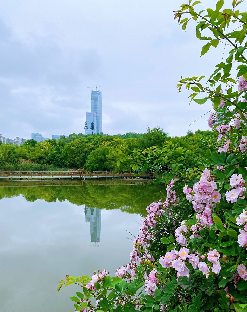 贵阳市观山湖公园风景