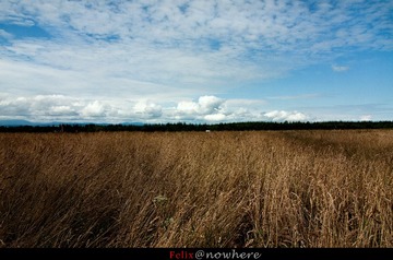 IMG_4313.jpg