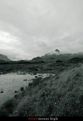 IMG_4373.jpg