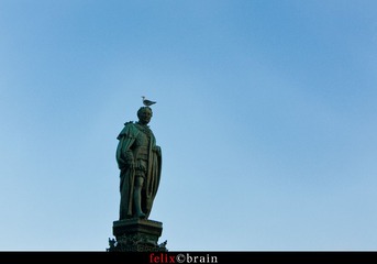 IMG_4536.jpg