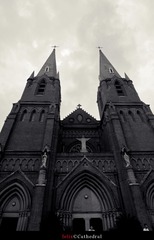 IMG_6771.jpg