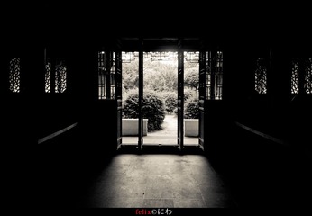 IMG_6752.jpg