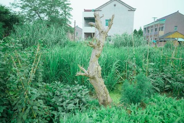 159FA6F9-3FF5-472E-B07F-184872AD2734/L0/001
