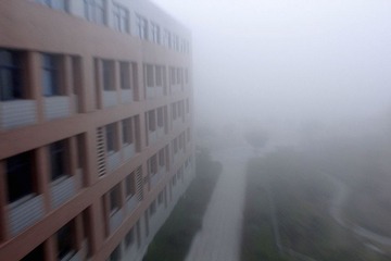 _MG_0605.jpg