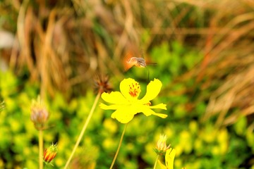 _MG_0251.JPG