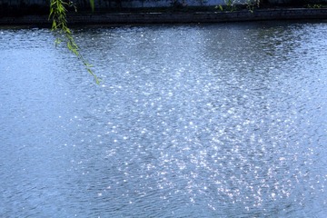 IMG_0031.JPG