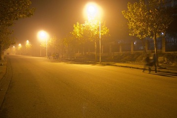 _MG_0881.jpg