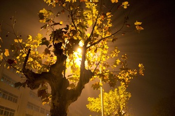 _MG_0884.jpg