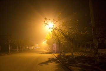_MG_0893.jpg