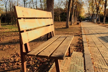 _MG_1015.JPG