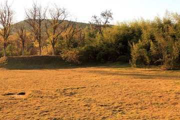 _MG_1024.JPG
