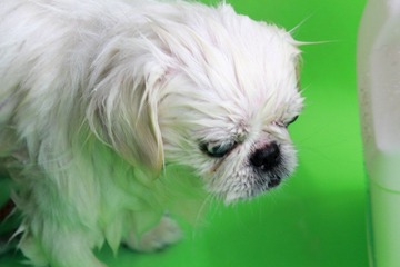 _MG_1201.JPG