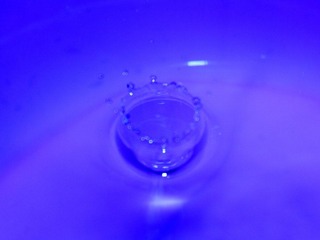 _MG_1348.JPG