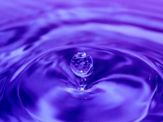 _MG_1368.JPG