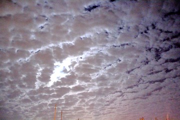_MG_1453.JPG