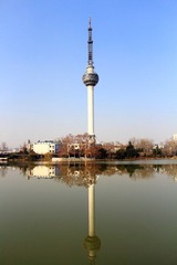 _MG_1478.JPG