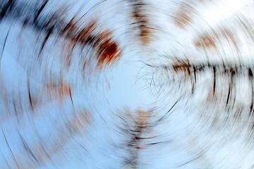 _MG_1510.JPG