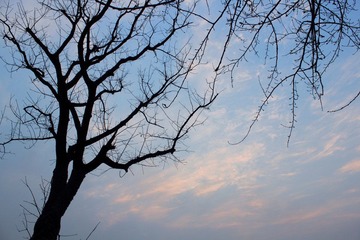 _MG_1902.JPG