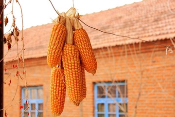 _MG_2186.JPG