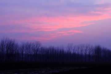 _MG_2207.JPG