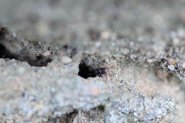 _MG_4468.jpg