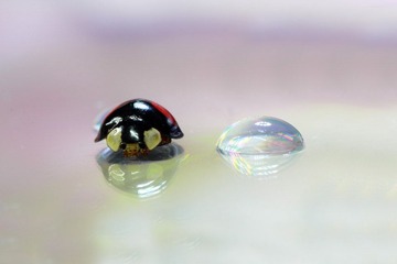 _MG_4636.JPG