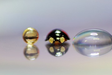 _MG_4650.JPG