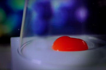 _MG_4656.JPG