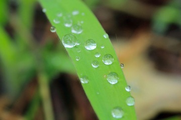 _MG_4919.jpg