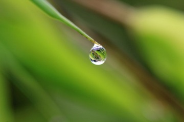 _MG_4926.jpg