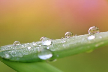 _MG_4927.jpg