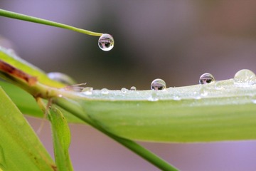 _MG_4928.jpg