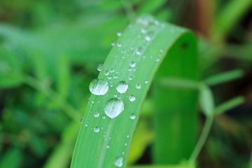 _MG_4935.jpg