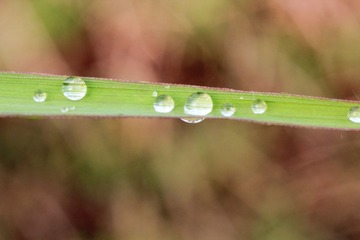 _MG_4936.jpg