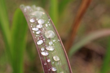 _MG_4938.jpg