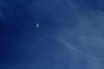 _MG_5114.jpg