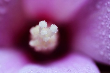 _MG_7584.jpg